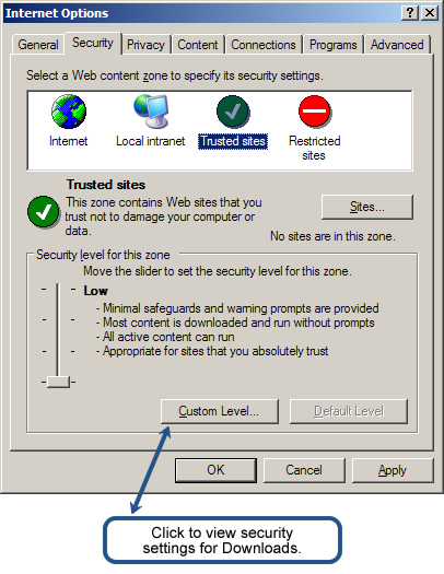 Custom Level for Security Settings